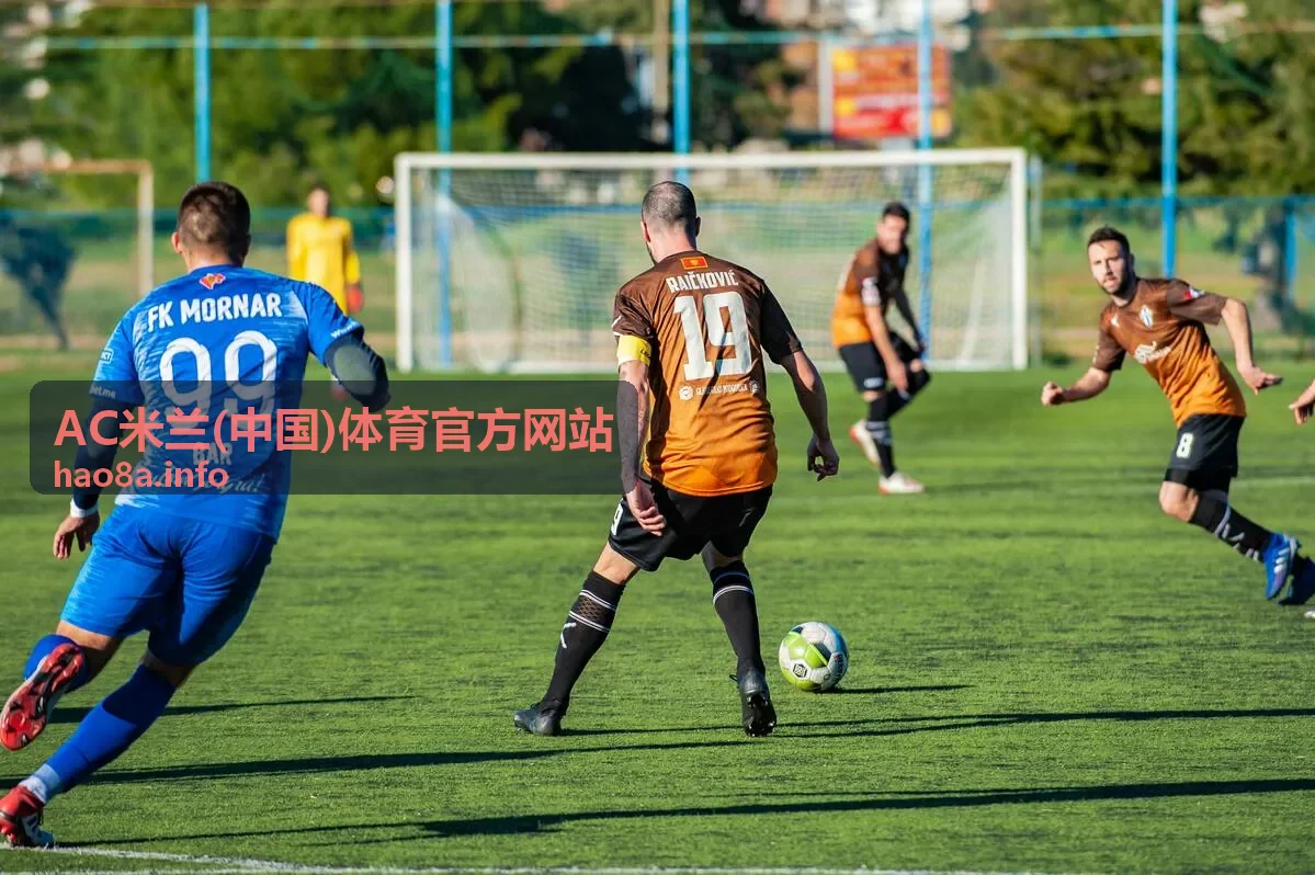 冬窗引援球员资料图